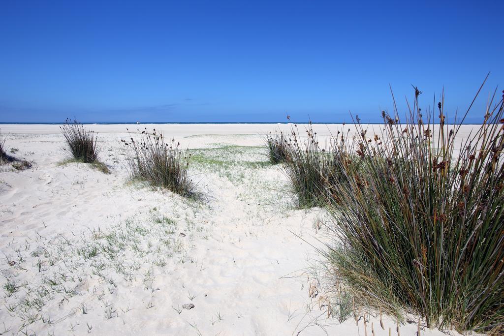 Blue Fin Tarifa Apartment Екстериор снимка
